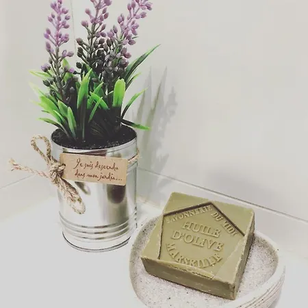 Apartamento Le - Hyper Centre De - Proche Insead Fontainebleau