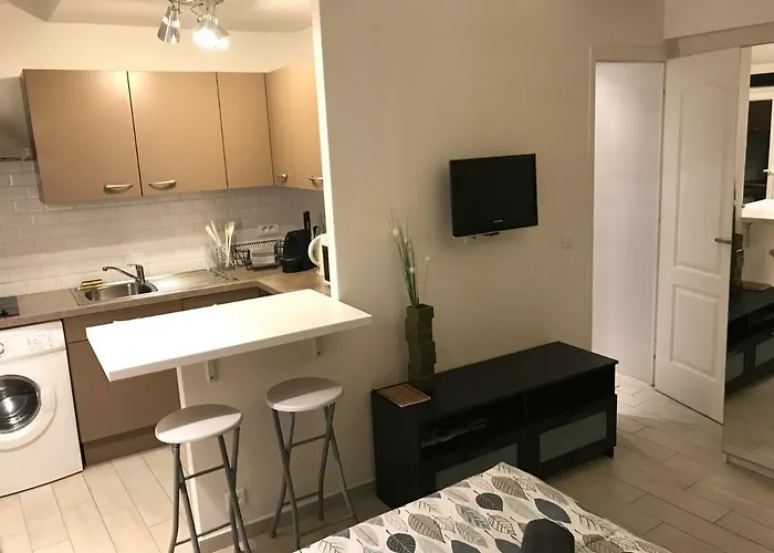 Apartamento Le - Hyper Centre De - Proche Insead