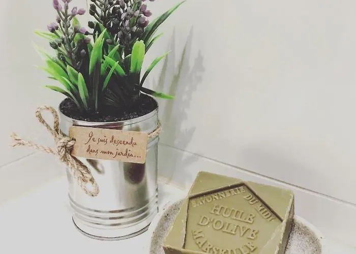 Apartamento Le - Hyper Centre De - Proche Insead Fontainebleau